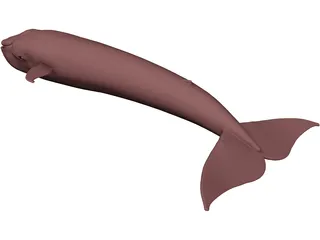 Whale Blue 3D Model