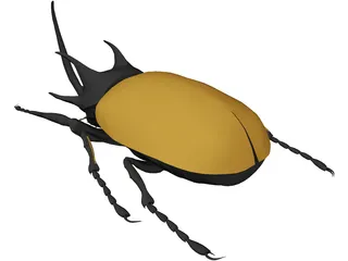 Eupatorus Gracilicornis 3D Model