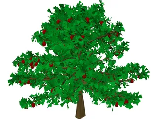 Apple Tree 3D Model