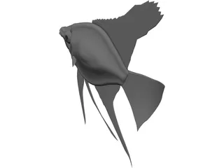 Pterophyum Scalare 3D Model