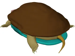 Turtle (Terrapene Ornata) 3D Model