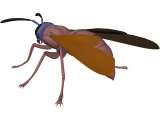 Wasp 3D Model