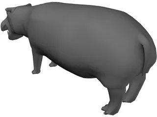 Hippopotamus 3D Model