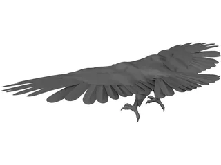 Eagle 3D Model