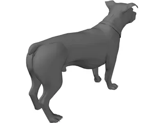 Dog 3D Model