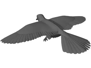 Dove 3D Model