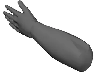 Hand Male 3D Model