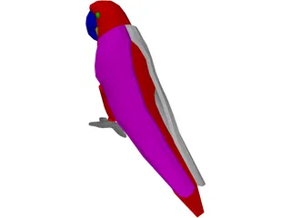 Macaw Hyacinth 3D Model