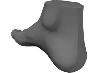 Foot 3D Model