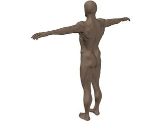 Man 3D Model