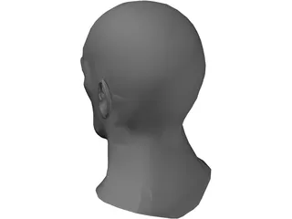 Head Male 3D Model