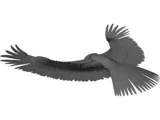 Eagle 3D Model