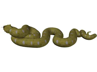 Python 3D Model