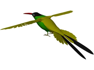 Hummingbird 3D Model