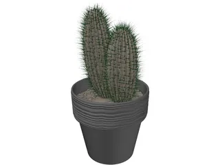 Cactus 3D Model