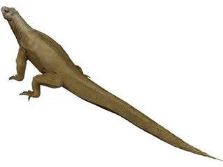 Komodo Dragon 3D Model