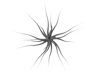 Neuron 3D Model