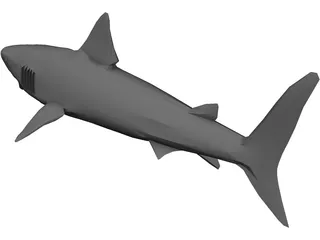 Shark Great White 3D Model