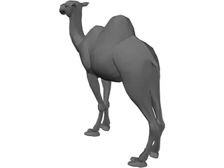 Camel 3D Model