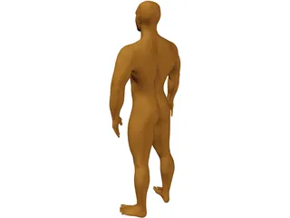 Muscle Man 3D Model