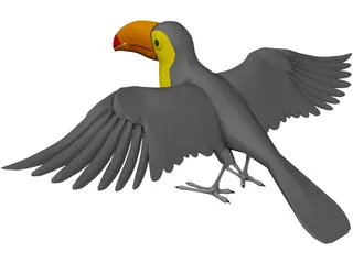 Toucan 3D Model