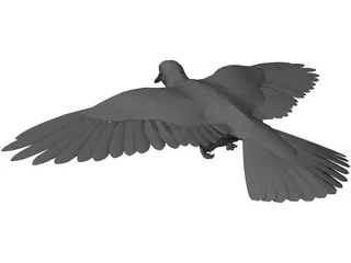 Dove 3D Model