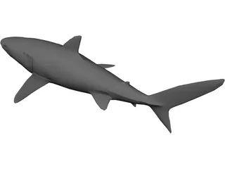 Blue Shark 3D Model