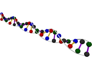 DNA Strand 3D Model