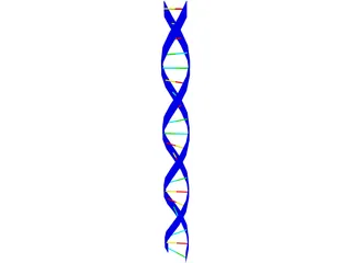 DNA Strand 3D Model