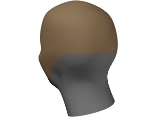 Head Human 3D Model