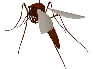 Mosquito 3D Model