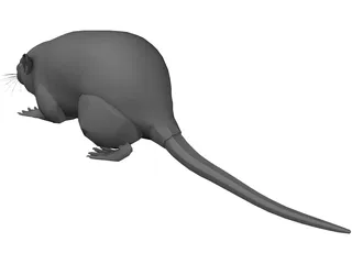 Rat 3D Model