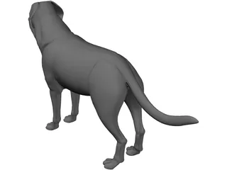 Dog 3D Model