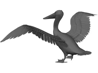 Pelican 3D Model