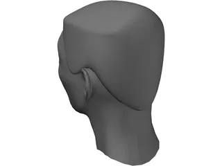 Head 3D Model