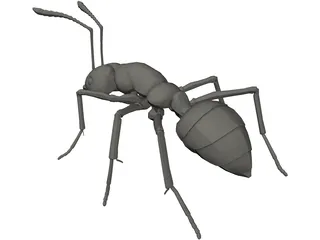 Ant 3D Model