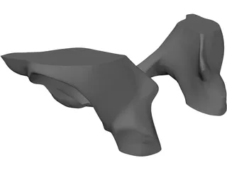 Pelvis 3D Model