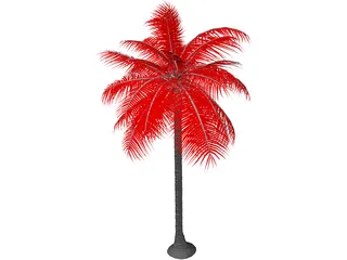 Palm Tree 3D Model