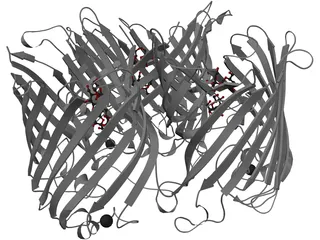 Protein 3D Model