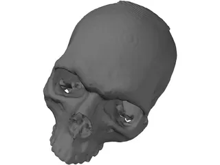 Skull 3D Model