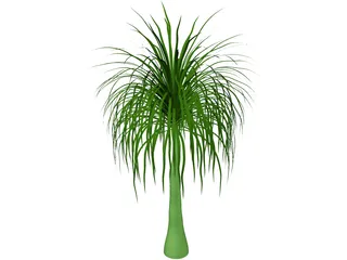 Palmera 3D Model