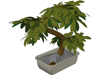 Small Tree 3D Model