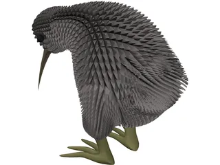 Kiwi Bird 3D Model