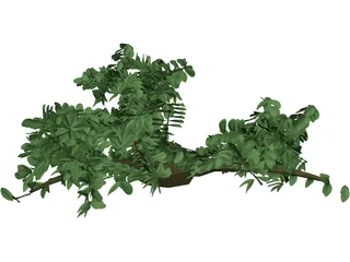 Tree 3D Model