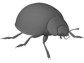 Ladybird 3D Model