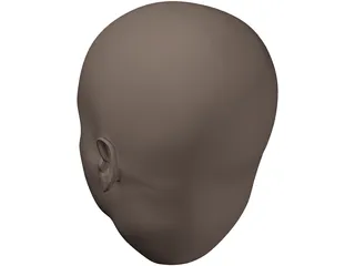 Human Head 3D Model