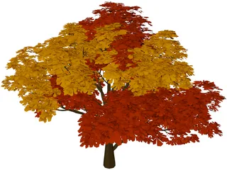 Chestnut Tree 3D Model