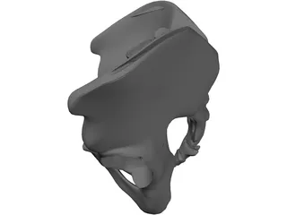 Pelvis and Sacrum 3D Model