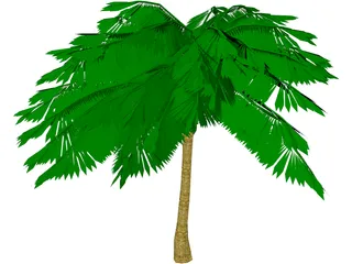 Palm Tree 3D Model