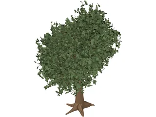 Oak Tree 3D Model